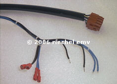  2006 riechel emv