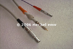  2006 riechel emv